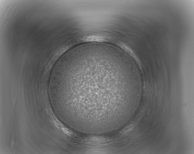 X0000066970529200603311451