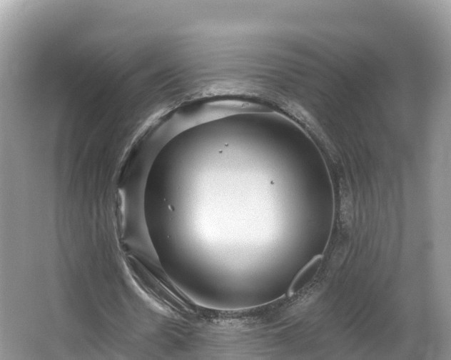 X0000066970530200603311451