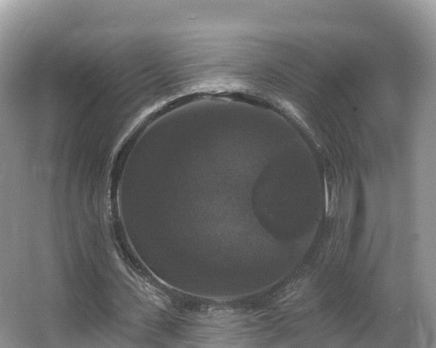 X0000066970531200603311451