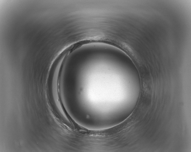 X0000066970532200603311451