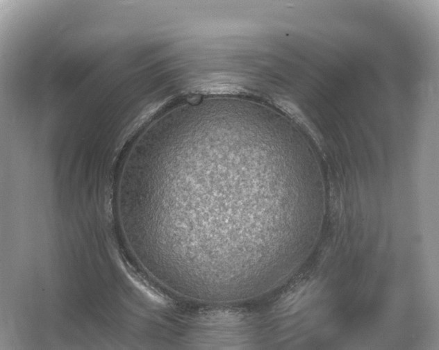 X0000066970533200603311451