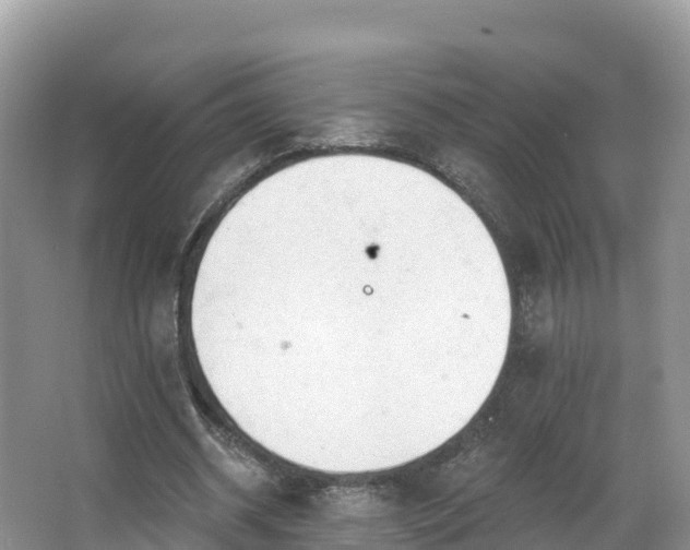 X0000066970534200603311451