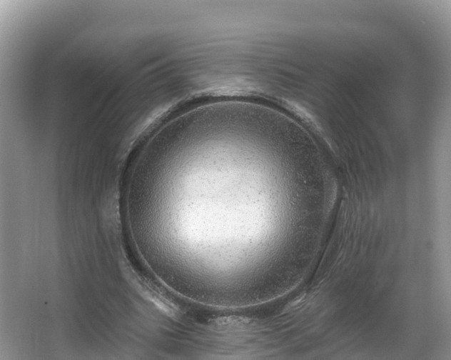 X0000066970535200603311451