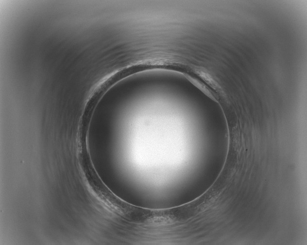 X0000066970536200603311451