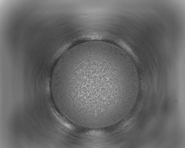 X0000066970537200603311451