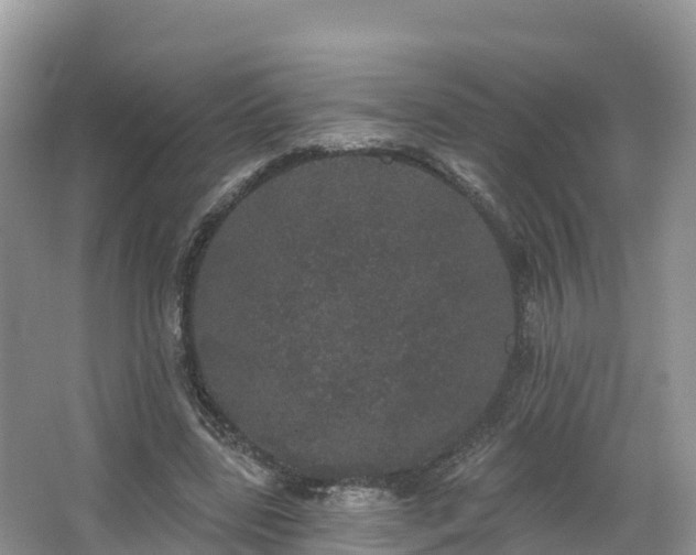 X0000066970539200603311451