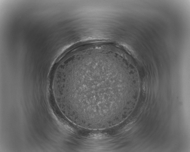 X0000066970540200603311451