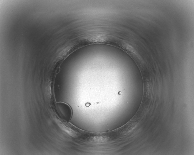 X0000066970541200603311451