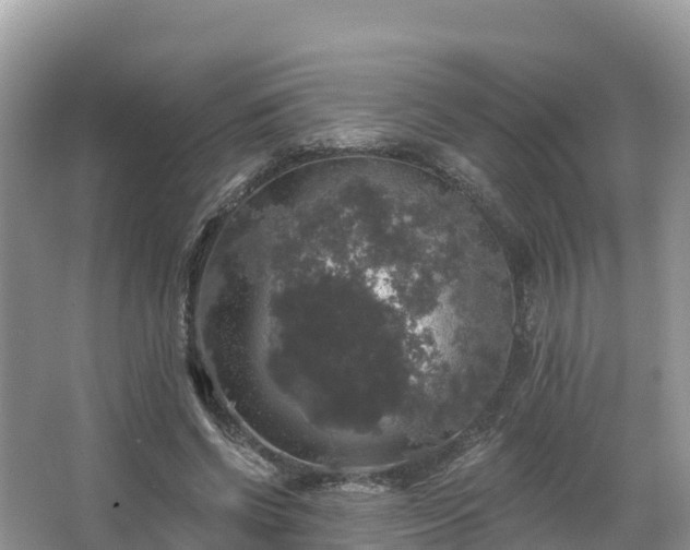 X0000066970542200603311452