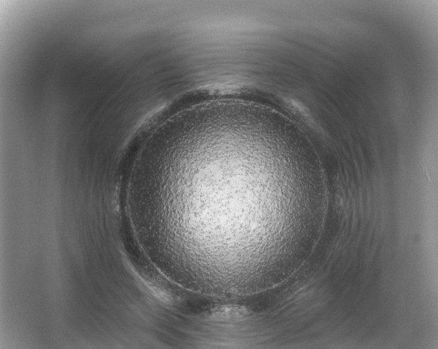 X0000066970543200603311452