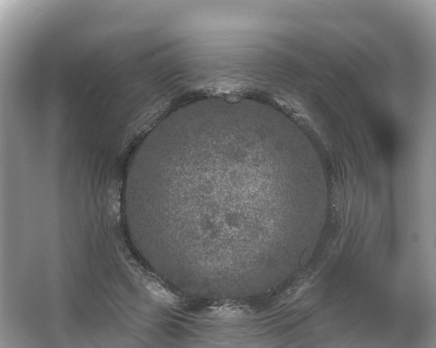 X0000066970545200603311452