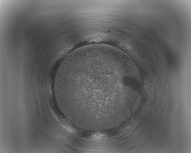 X0000066970547200603311452