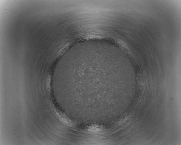 X0000066970550200603311452