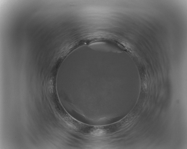 X0000066970551200603311452