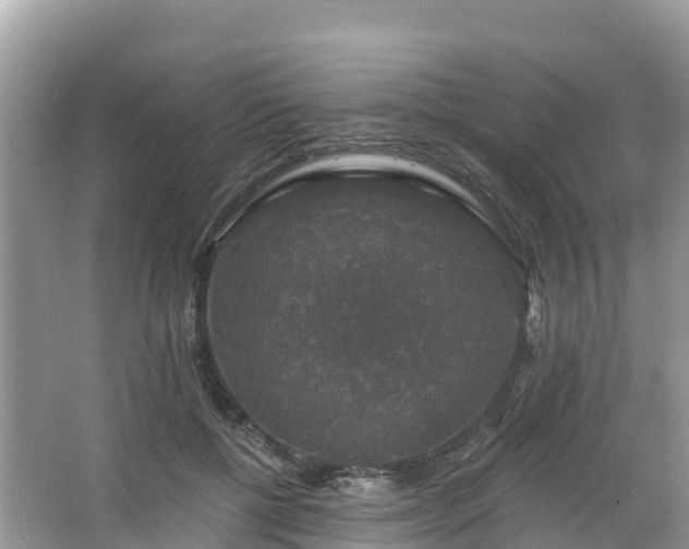 X0000066970552200603311452