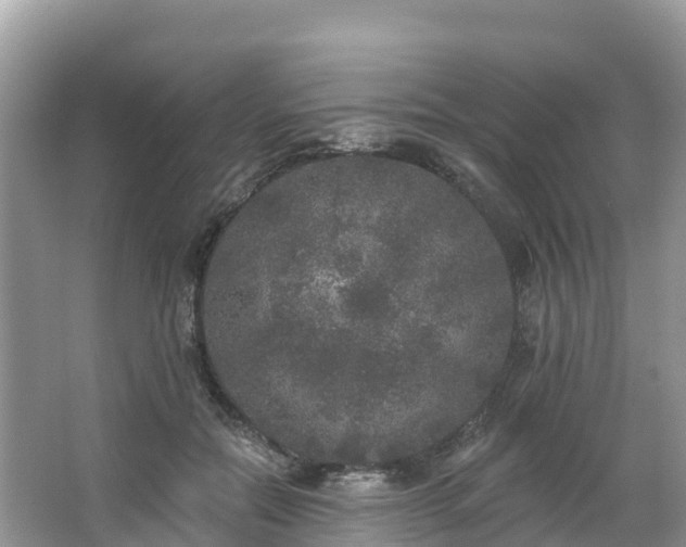 X0000066970554200603311452