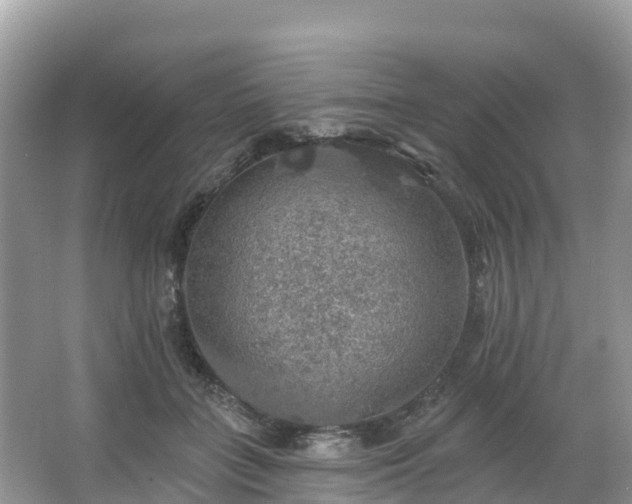 X0000066970555200603311452