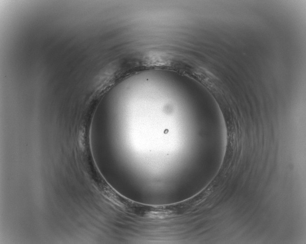 X0000066970556200603311452