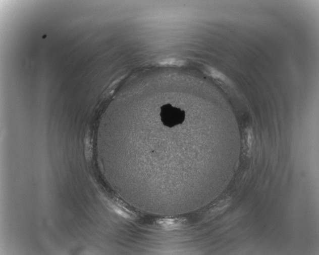 X0000066970558200603311452