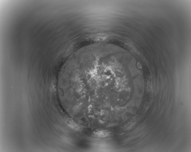 X0000066970561200603311452