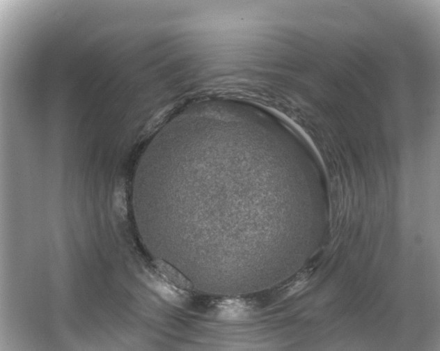 X0000066970562200603311452