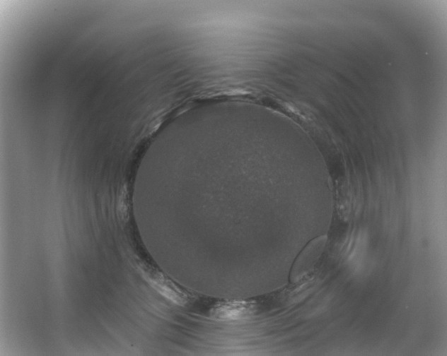 X0000066970563200603311452