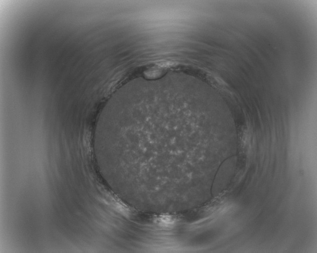 X0000066970565200603311452