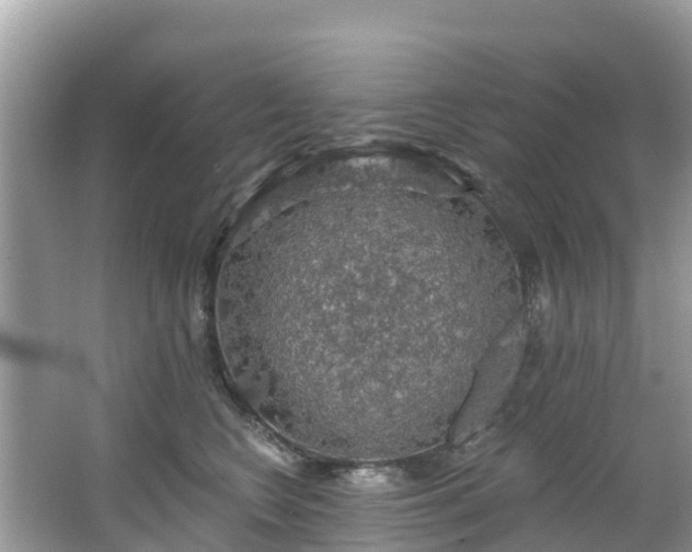 X0000066970566200603311452