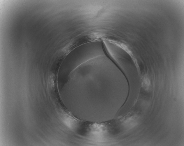 X0000066970570200603311452