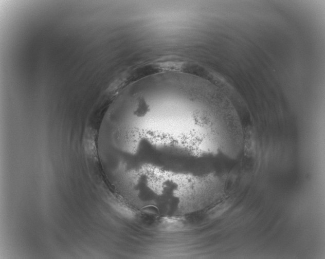 X0000066970573200603311452