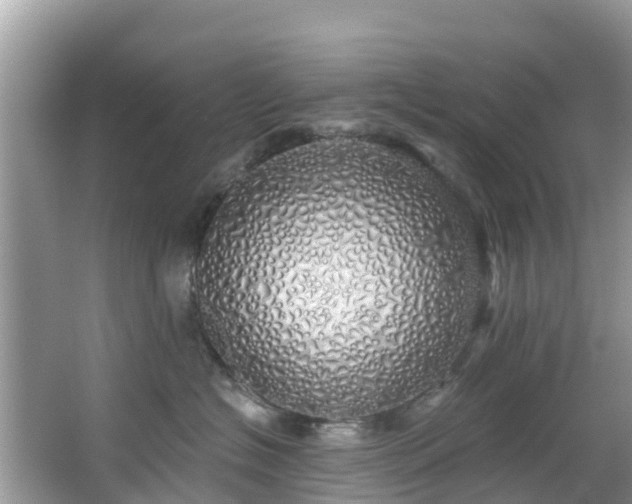 X0000066970574200603311452