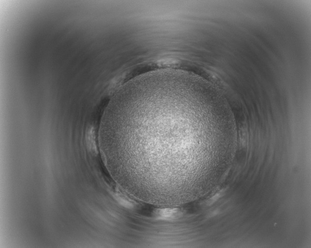 X0000066970575200603311452