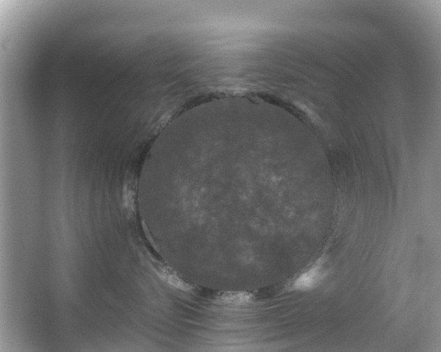 X0000066970576200603311452