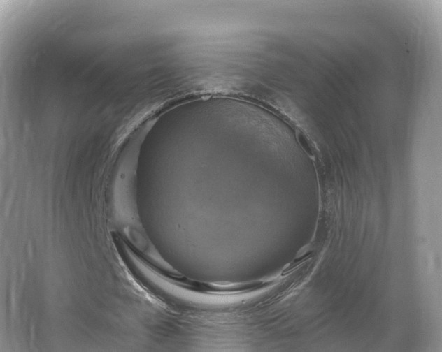 X0000066970577200603311451