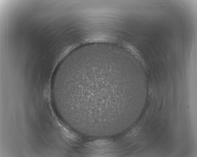 X0000066970578200603311451