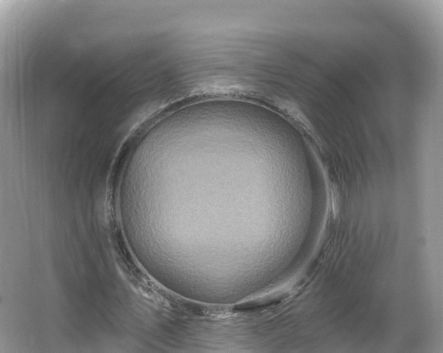 X0000066970579200603311451