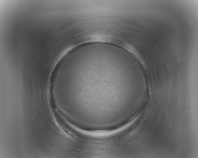 X0000066970580200603311451