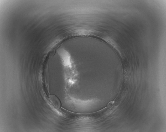 X0000066970581200603311451