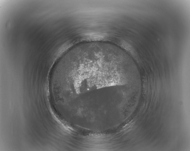 X0000066970582200603311451