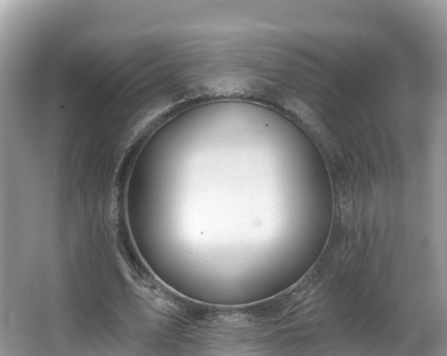 X0000066970583200603311451