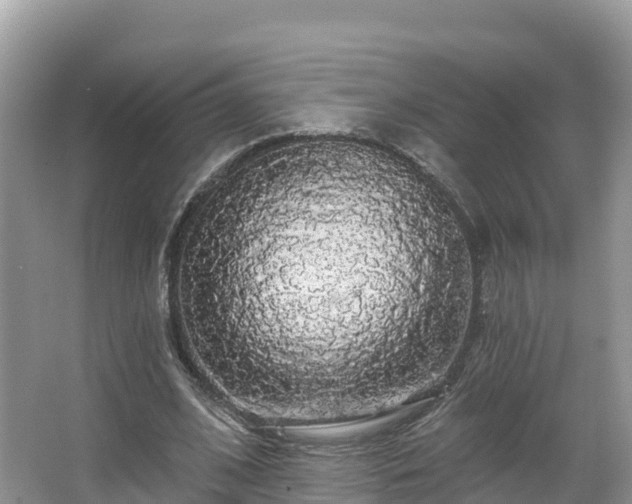 X0000066970584200603311451