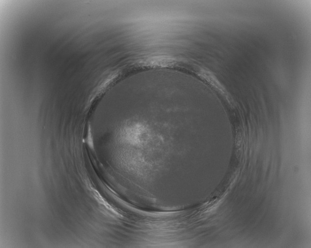 X0000066970585200603311451