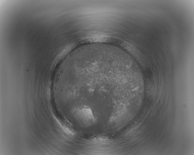 X0000066970586200603311451