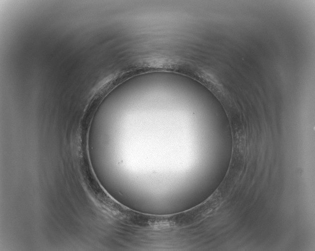 X0000066970587200603311451