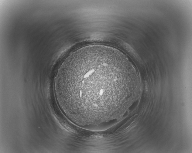 X0000066970588200603311451