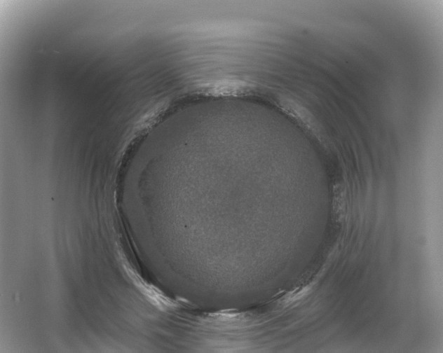 X0000066970589200603311451