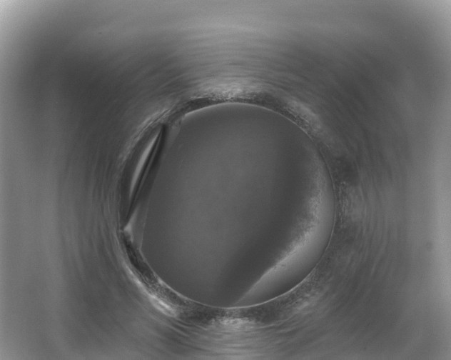 X0000066970590200603311451