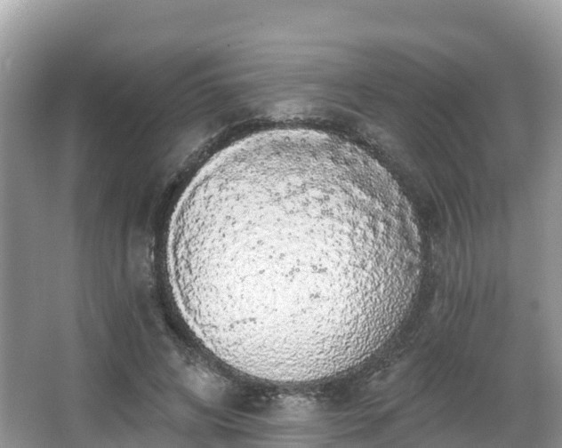 X0000066970592200603311451