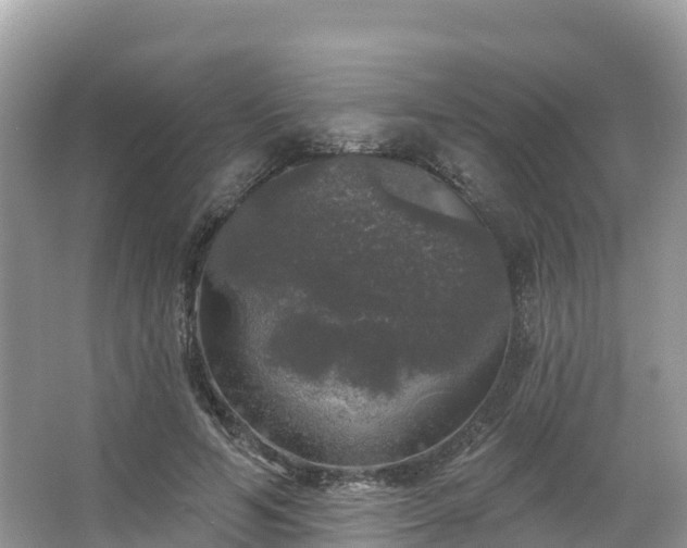 X0000066970594200603311451