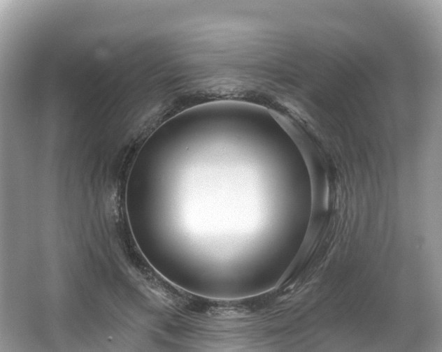 X0000066970597200603311451